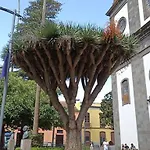 Wagner - - San Marcos (Tenerife)